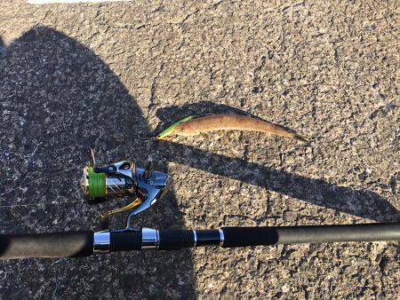 朝と夕でエソツー