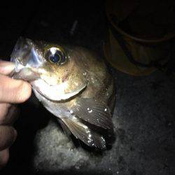 自作フロート炸裂！