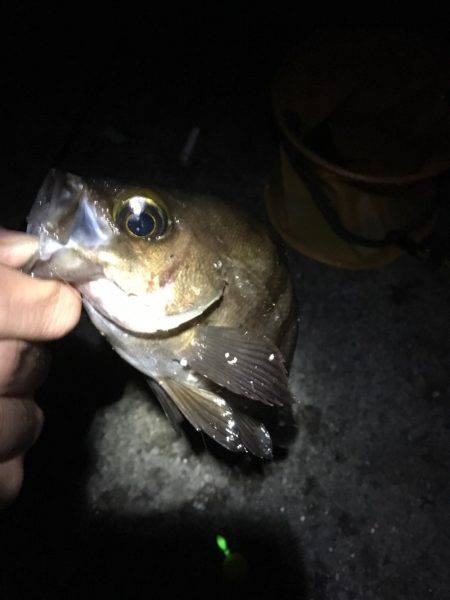 自作フロート炸裂！