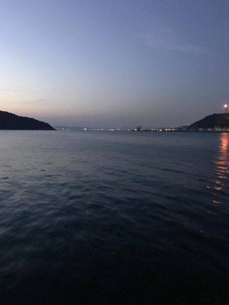 やっと春イカ…