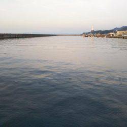 土曜の昼から翌朝方にかけて