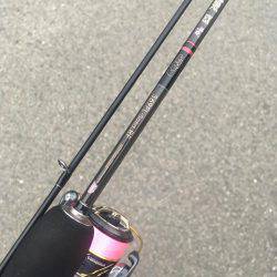 今期のメバリングは終了します(^ ^)