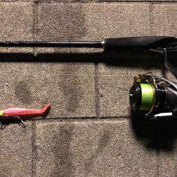 チニング？後シーバス