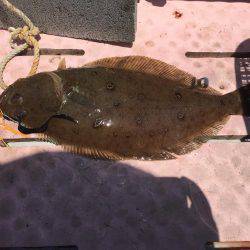 マイボートでタイラバ、ジギング 経ヶ岬沖