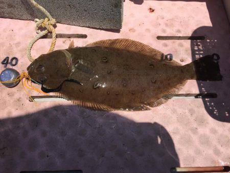 マイボートでタイラバ、ジギング 経ヶ岬沖