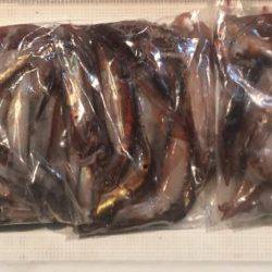 五目からのムギイカ