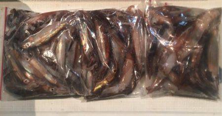 五目からのムギイカ