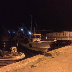 離島完徹アジング