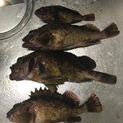 仕事帰りにメバリングのつもりが