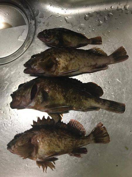 仕事帰りにメバリングのつもりが