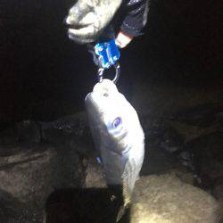 ぐんぐん走るあいつ