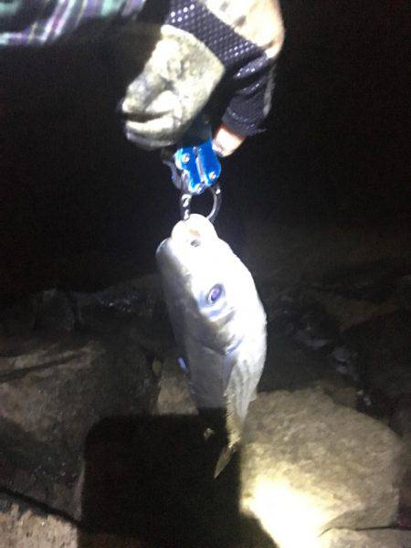 ぐんぐん走るあいつ