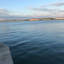 メバリングはまだまだ終わりません！