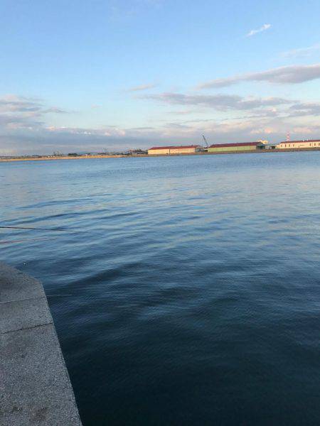 メバリングはまだまだ終わりません！