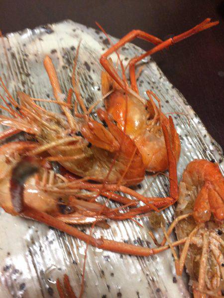 明石川でテナガエビ