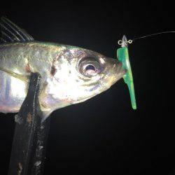 テクニカルアジング