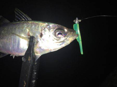 テクニカルアジング