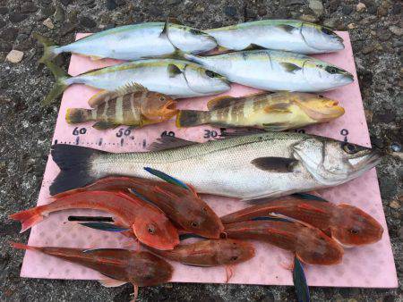 マイボートでタイラバ、ジギング  本庄沖