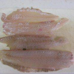 ひらめゲットだぜ!!