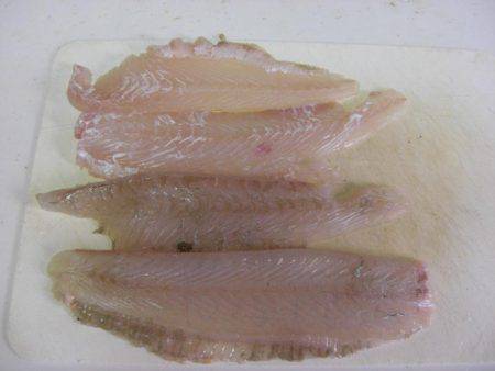 ひらめゲットだぜ!!