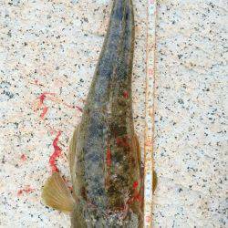 小豆島土庄町ショアジギング