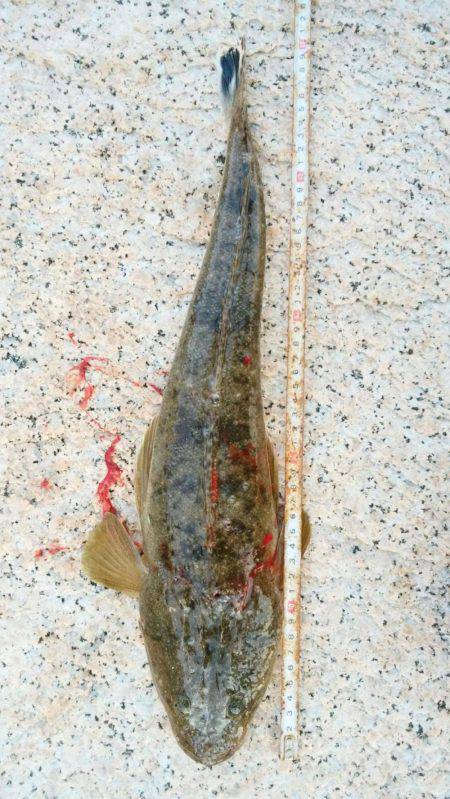 小豆島土庄町ショアジギング