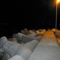 本日も釣れません