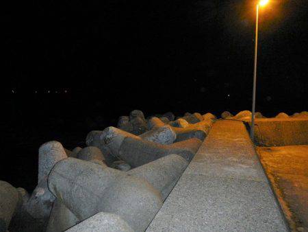 本日も釣れません