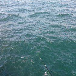 ジャンボの道はきびしす