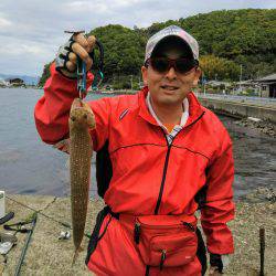 ライトロック調査