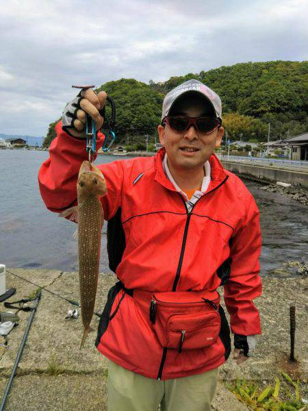 ライトロック調査