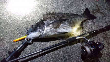 バチ抜けでシーバス&チヌ