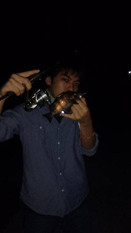 今年のメバリング初釣行