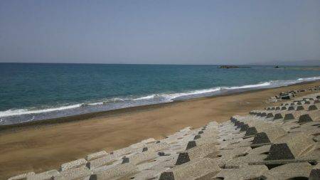 フラットフィッシュ好調