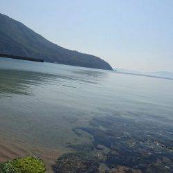 キス調査 日本海