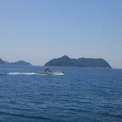 湯浅周辺でヤエンで2杯