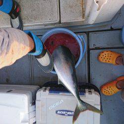 エントリーサイズを目指して!