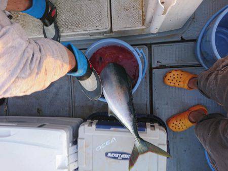 エントリーサイズを目指して!