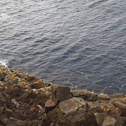 初釣果 海底を歩くヤツ