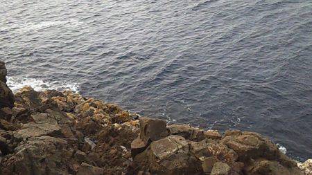 初釣果 海底を歩くヤツ