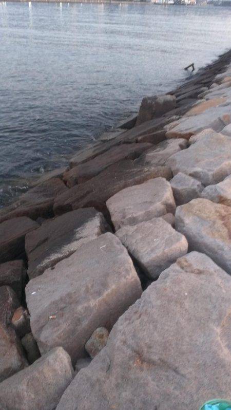 南芦屋浜石畳開幕戦