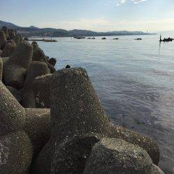 今シーズン 初キス!