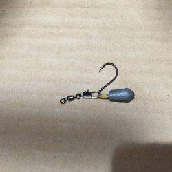 キビレ調査　ＮＯ，１５