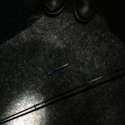 シーバスナイトゲーム