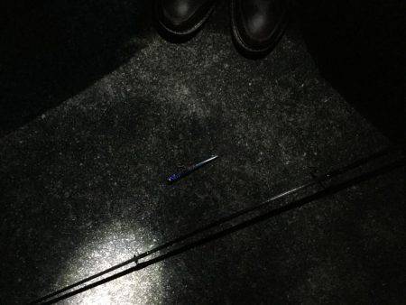 シーバスナイトゲーム