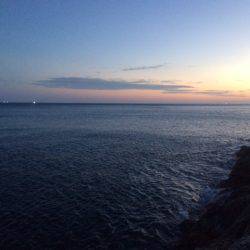 朝マズメに良型メバル