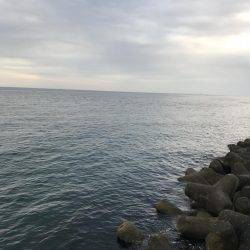 今年初メバリング