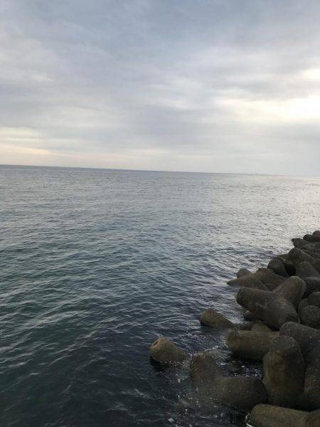 今年初メバリング