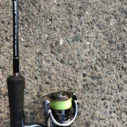 バチは、まだいけますねっ。