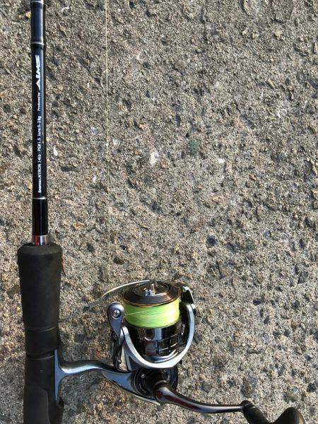 バチは、まだいけますねっ。